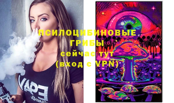 соль курить ск Верея